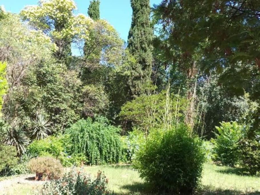Toulon Est La Valette Studio 35M2 Dominant Parking Proche Mer Apartment Exterior foto