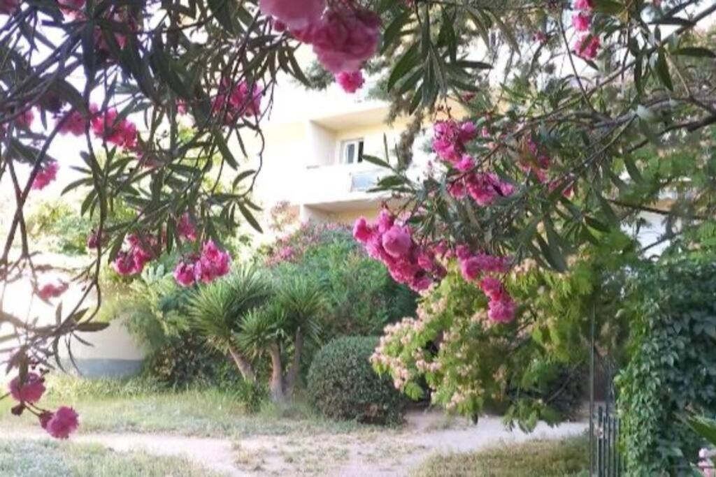Toulon Est La Valette Studio 35M2 Dominant Parking Proche Mer Apartment Exterior foto